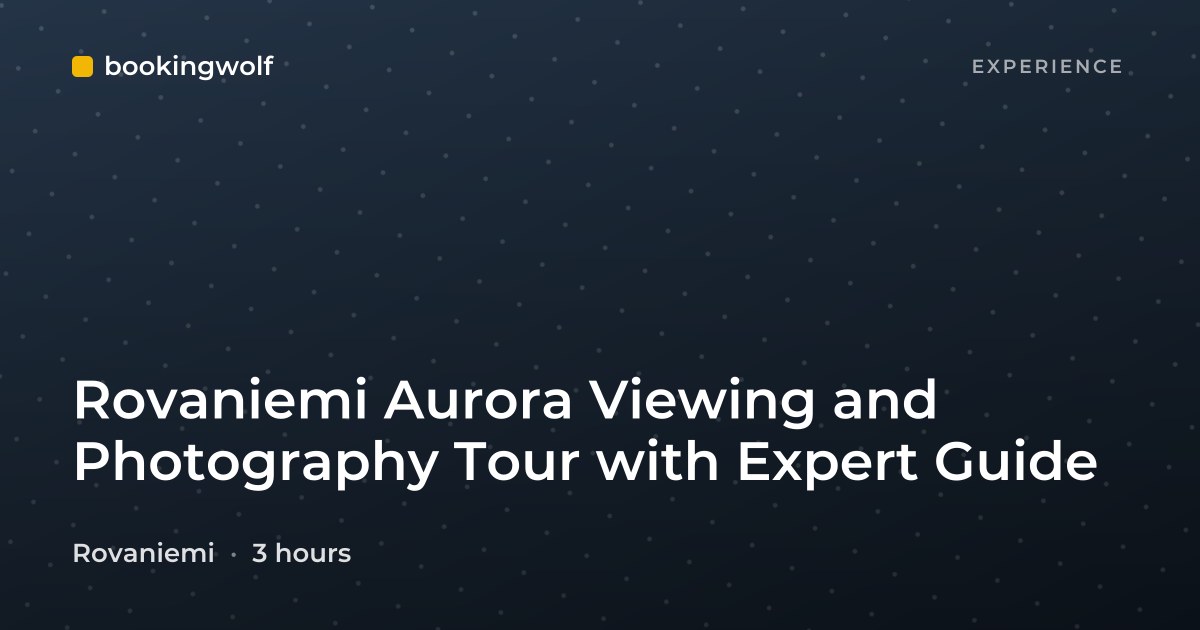 Rovaniemi Aurora Viewing and Photography Tour with Expert Guide