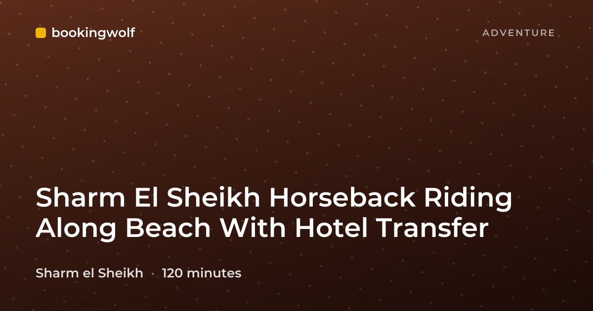 Sharm El Sheikh Horseback Riding Along Beach With Hotel Transfer