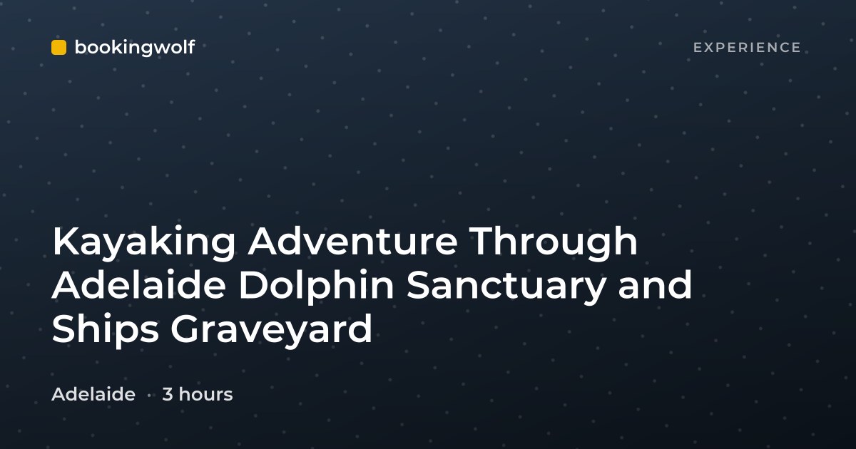 Kayaking Adventure Through Adelaide Dolphin Sanctuary and Ships Graveyard