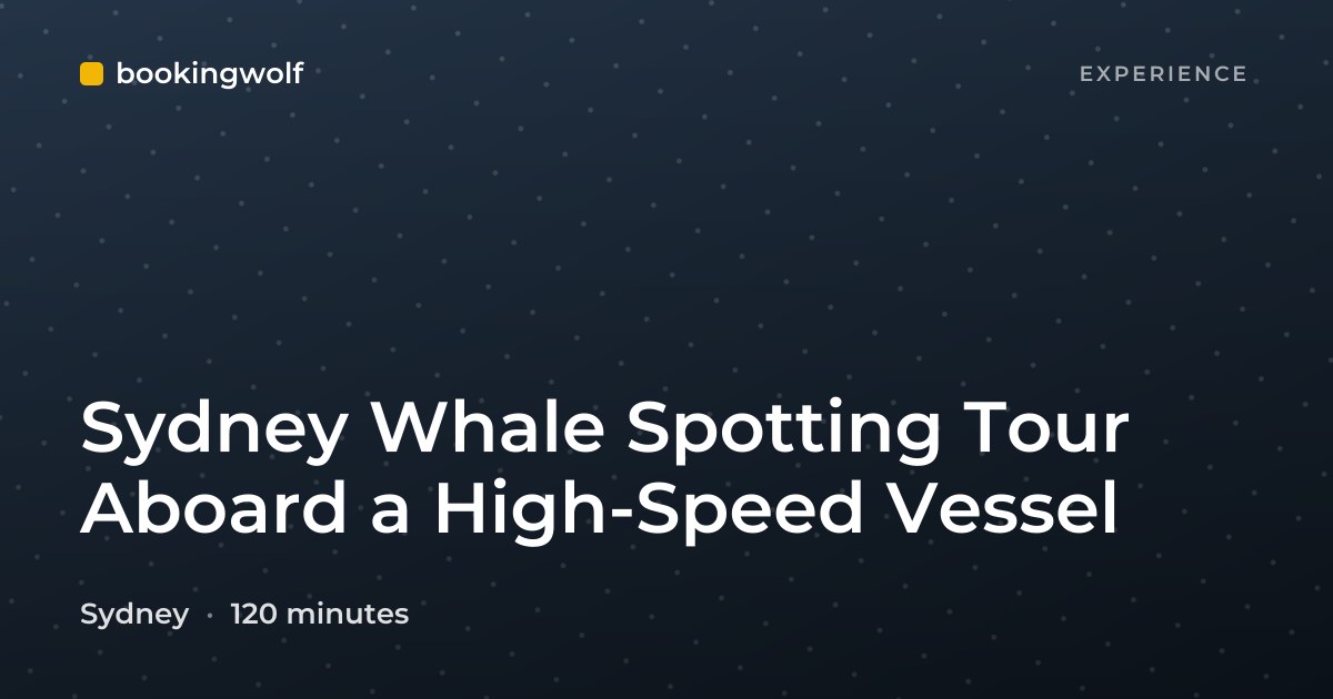 Sydney Whale Spotting Tour Aboard a High-Speed Vessel