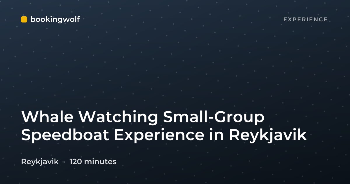 Whale Watching Small-Group Speedboat Experience in Reykjavik
