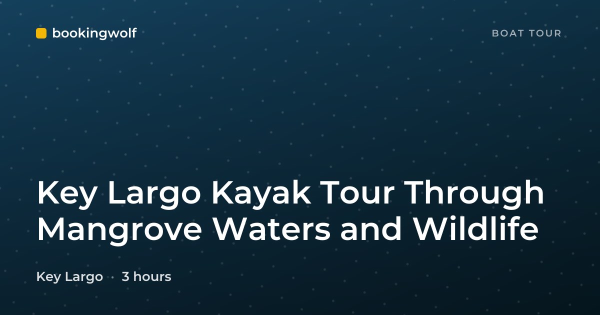 Key Largo Kayak Tour Through Mangrove Waters and Wildlife