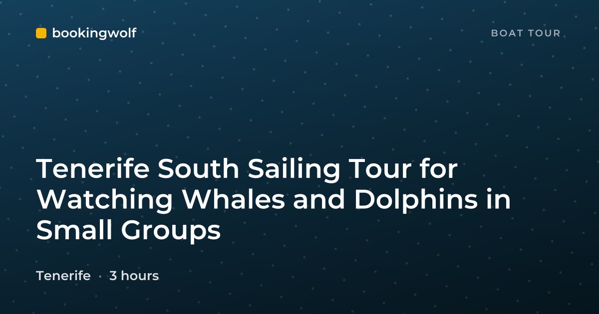 Tenerife South Sailing Tour for Watching Whales and Dolphins in Small Groups
