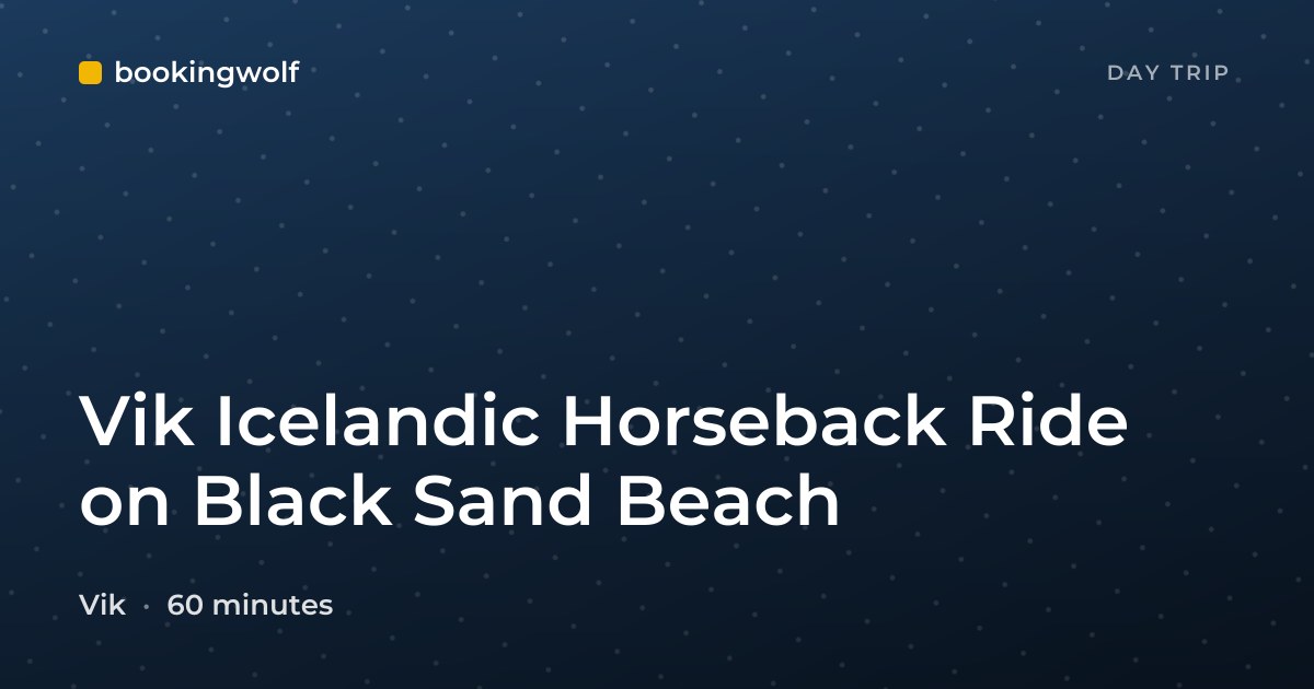 Vik Icelandic Horseback Ride on Black Sand Beach