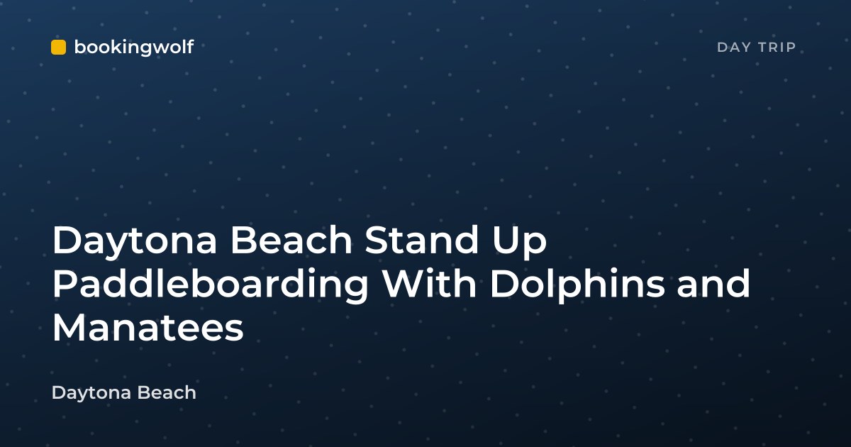 Daytona Beach Stand Up Paddleboarding With Dolphins and Manatees