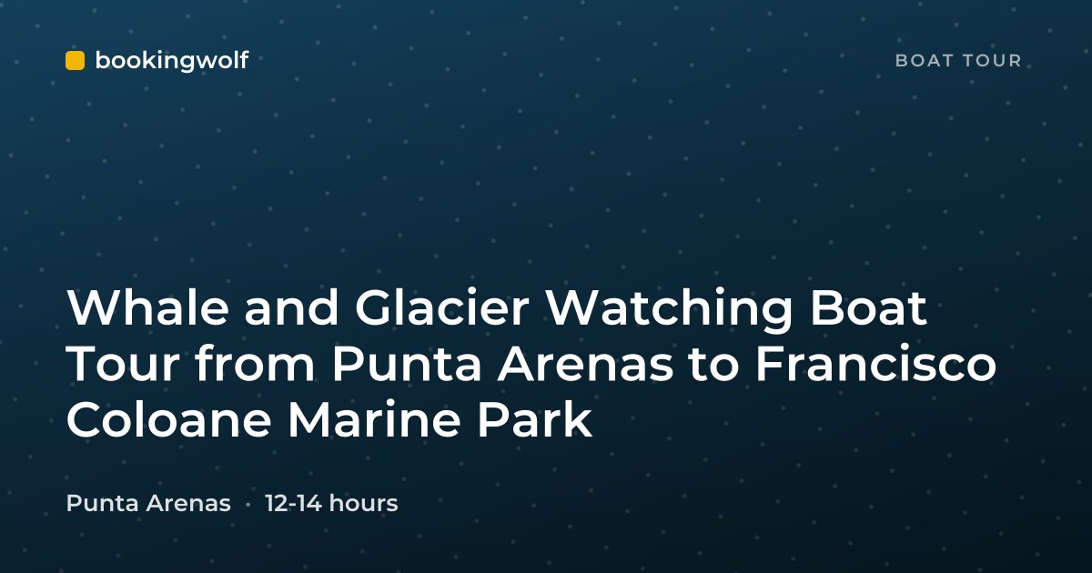 Whale and Glacier Watching Boat Tour from Punta Arenas to Francisco Coloane Marine Park
