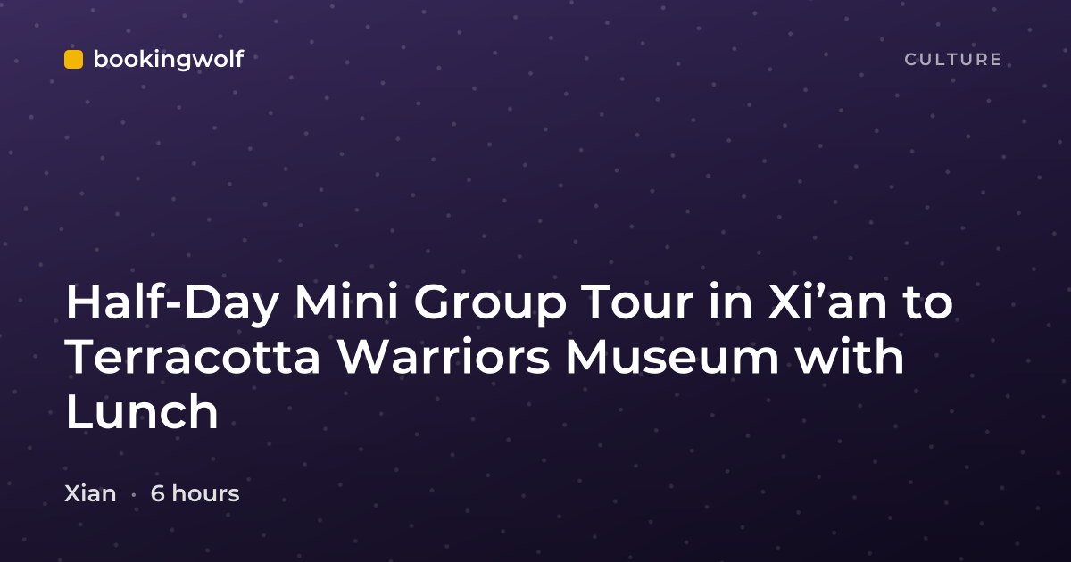 Half-Day Mini Group Tour in Xi’an to Terracotta Warriors Museum with Lunch