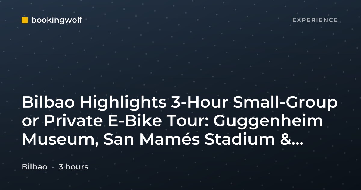 Bilbao Highlights 3-Hour Small-Group or Private E-Bike Tour: Guggenheim Museum, San Mamés Stadium & Maritime Museum