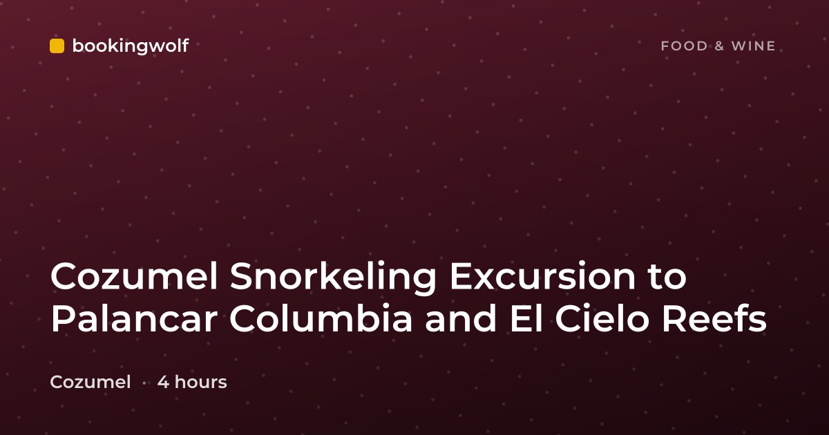 Cozumel Snorkeling Excursion to Palancar Columbia and El Cielo Reefs