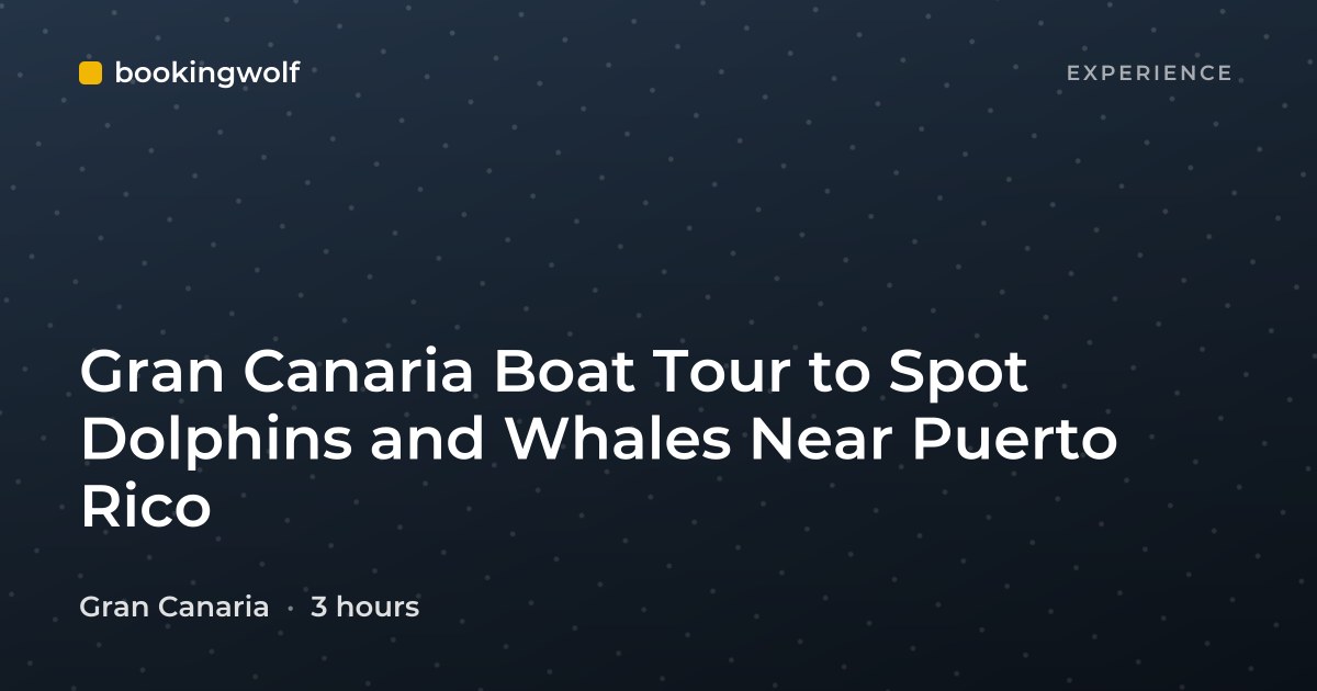 Gran Canaria Boat Tour to Spot Dolphins and Whales Near Puerto Rico