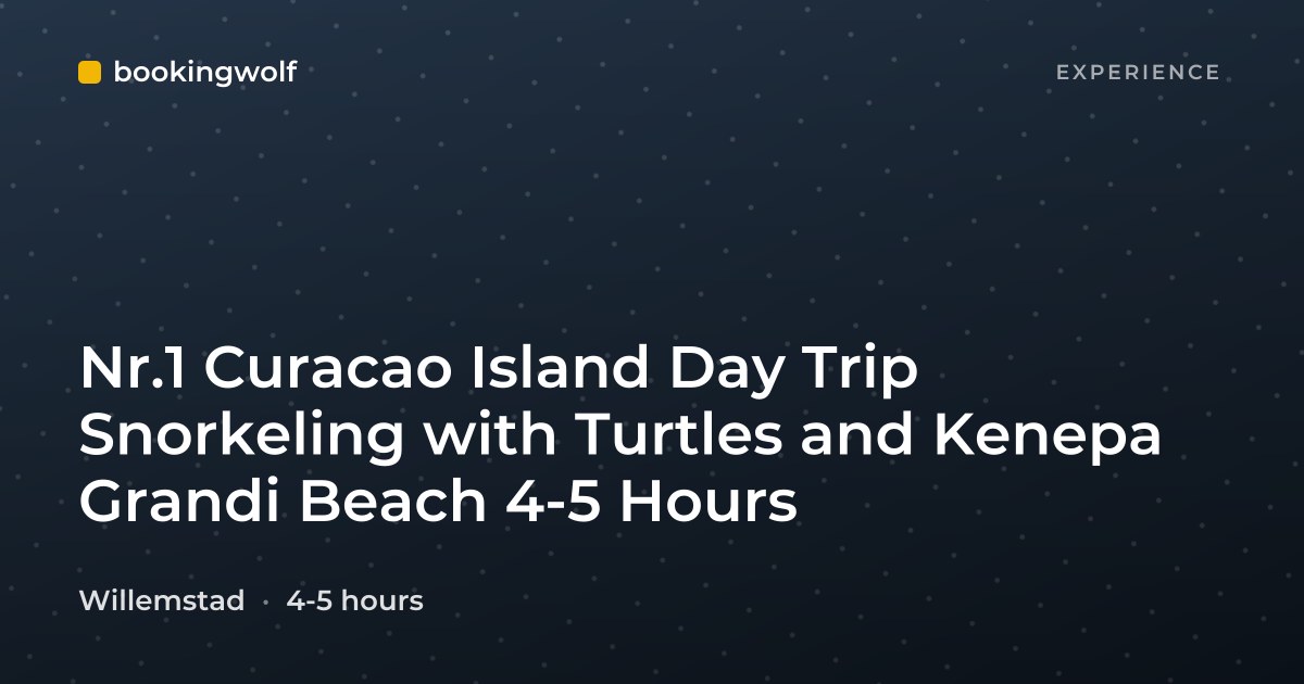 Nr.1 Curacao Island Day Trip Snorkeling with Turtles and Kenepa Grandi Beach 4-5 Hours