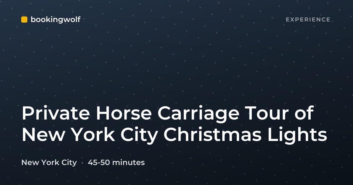 Private Horse Carriage Tour of New York City Christmas Lights