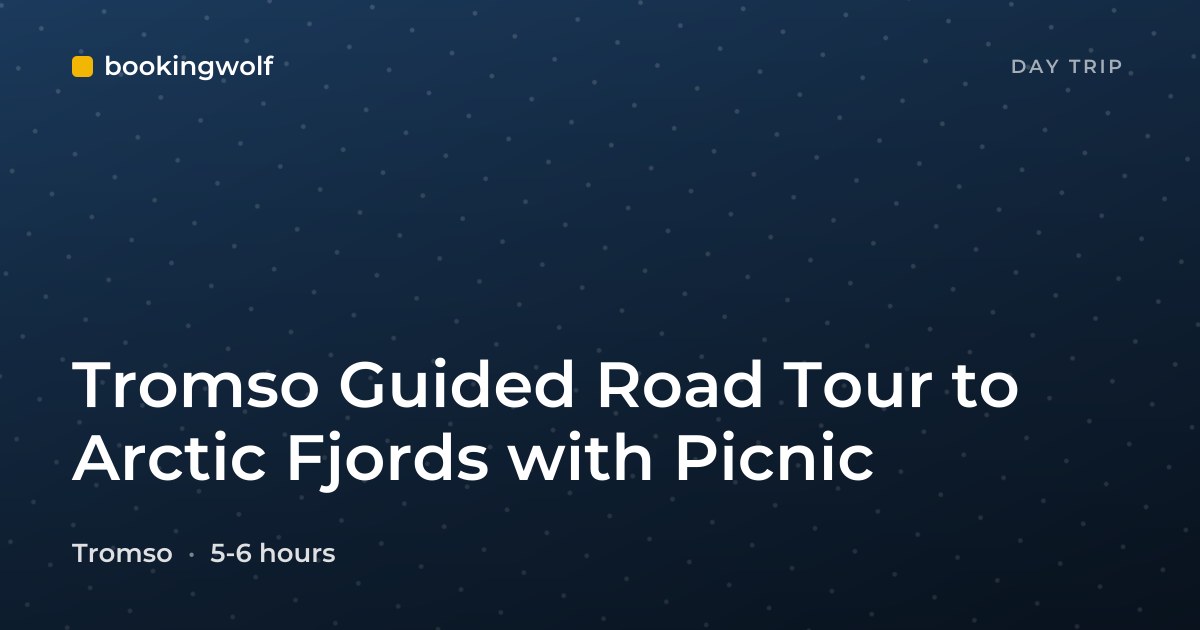 Tromso Guided Road Tour to Arctic Fjords with Picnic