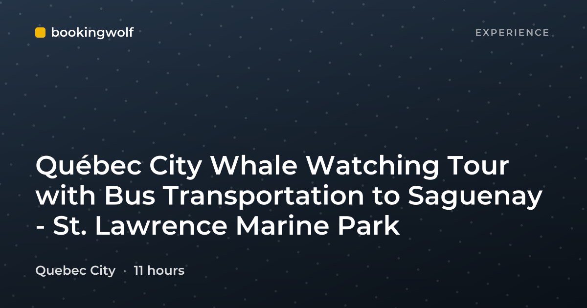 Québec City Whale Watching Tour with Bus Transportation to Saguenay - St. Lawrence Marine Park
