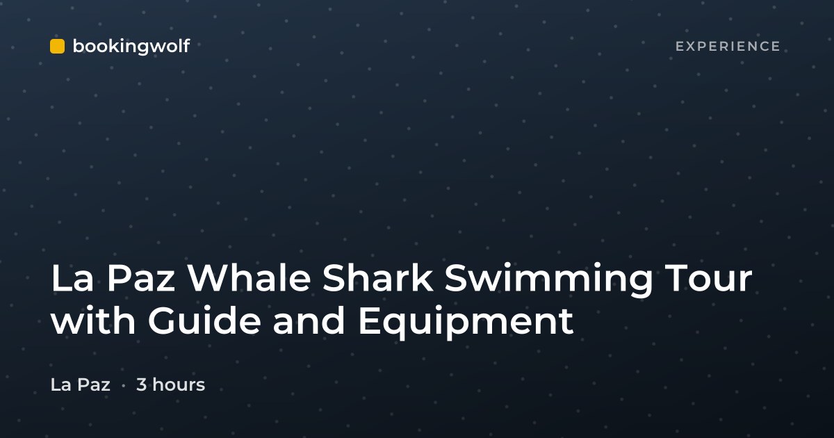 La Paz Whale Shark Swimming Tour with Guide and Equipment