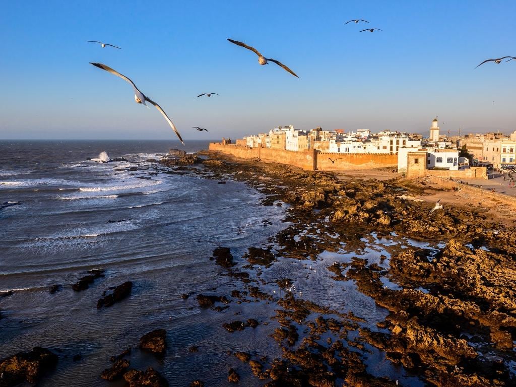 Explore the Coastal Town of Essaouira - Full-Day Tour
