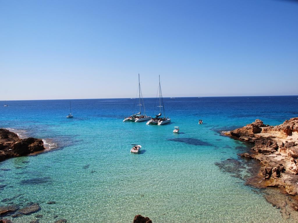 South Coast Magic Catamaran Excursion with lunch PLUS