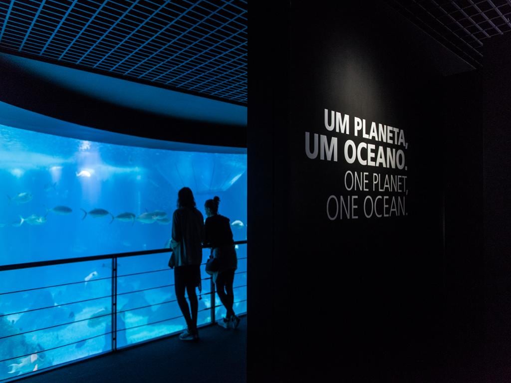 Lisbon Oceanarium - Ticket