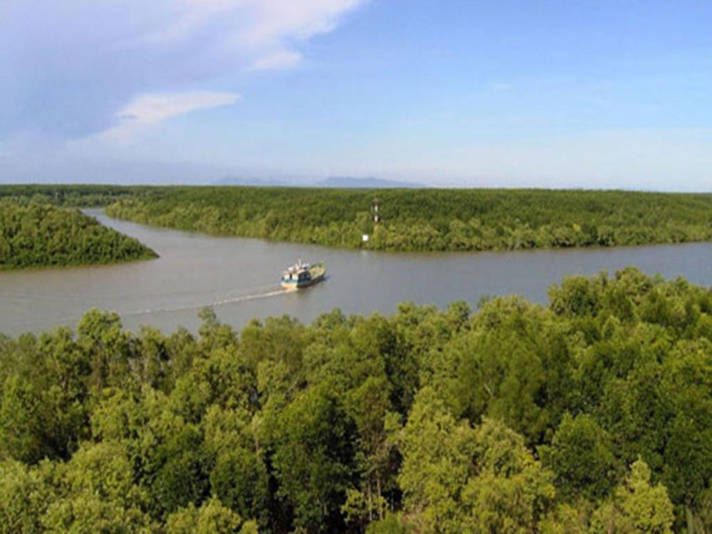 Vam Sat Mangrove Forest Tour from Ho Chi Minh City