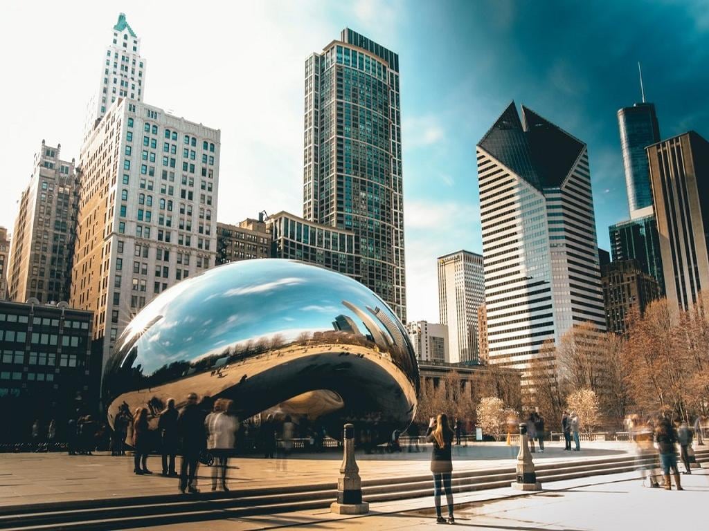 Highlights of Chicago Private Tour with 360 Observation Deck Tickets