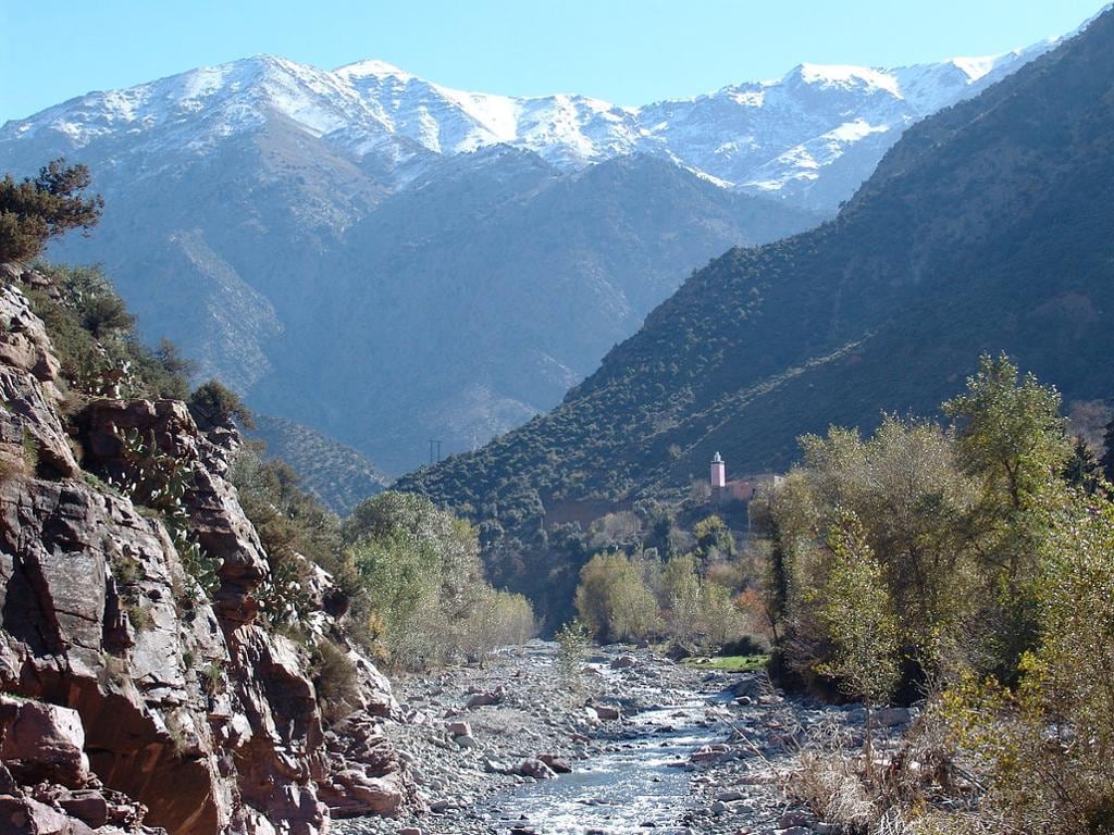 Discover The Medina and the Ourika Valley with Lunch - Full-Day Private Tour