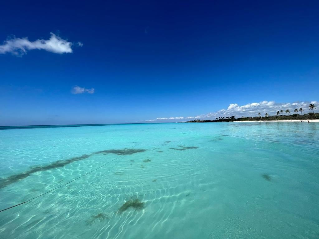 Catalina Island Full-Day Tour with Snorkeling from La Romana