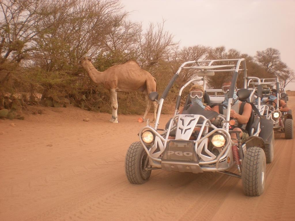 Buggy Experience - Half-Day Tour