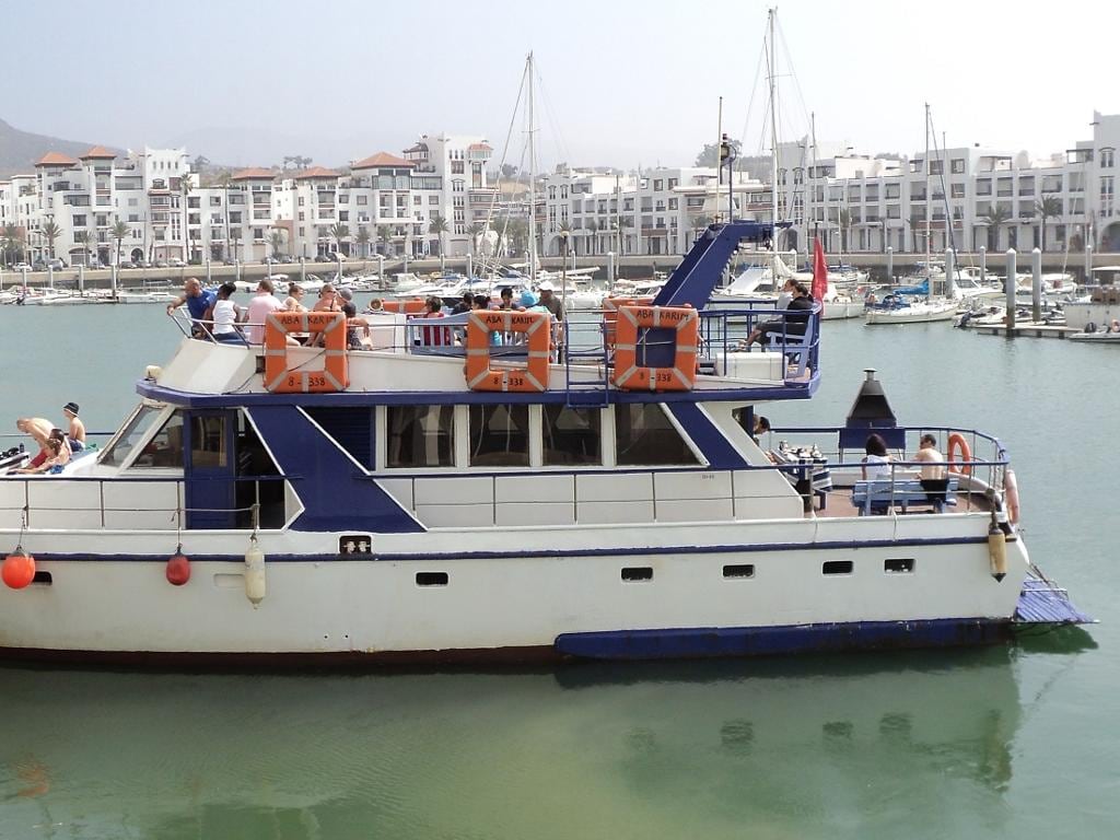 Boat Trip and Fishing - Half-Day Tour