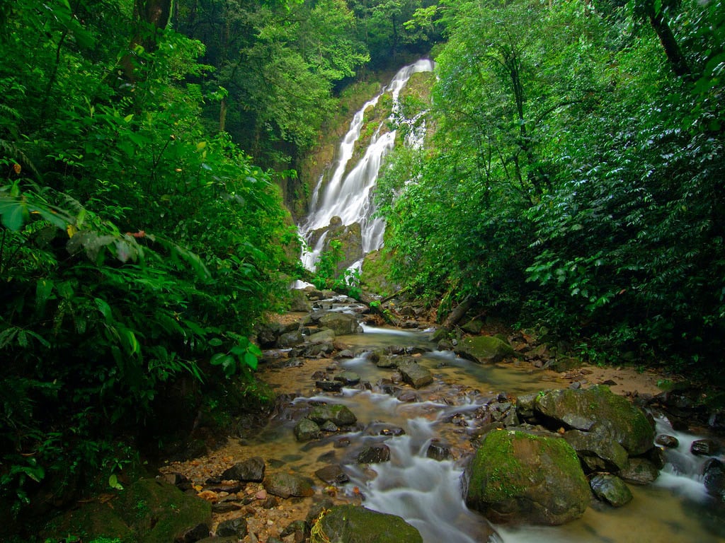 Explore the Espiritu del Bosque trail
