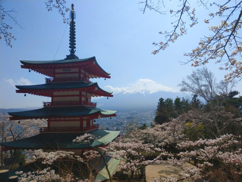 Mount Fuji Panoramic View, Matcha-making Experience and Shopping Day – Full-Day Tour