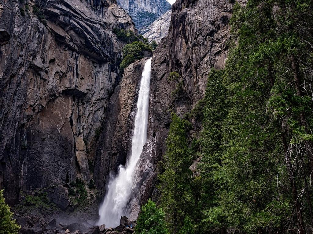 Yosemite National Park - Full-Day Tour