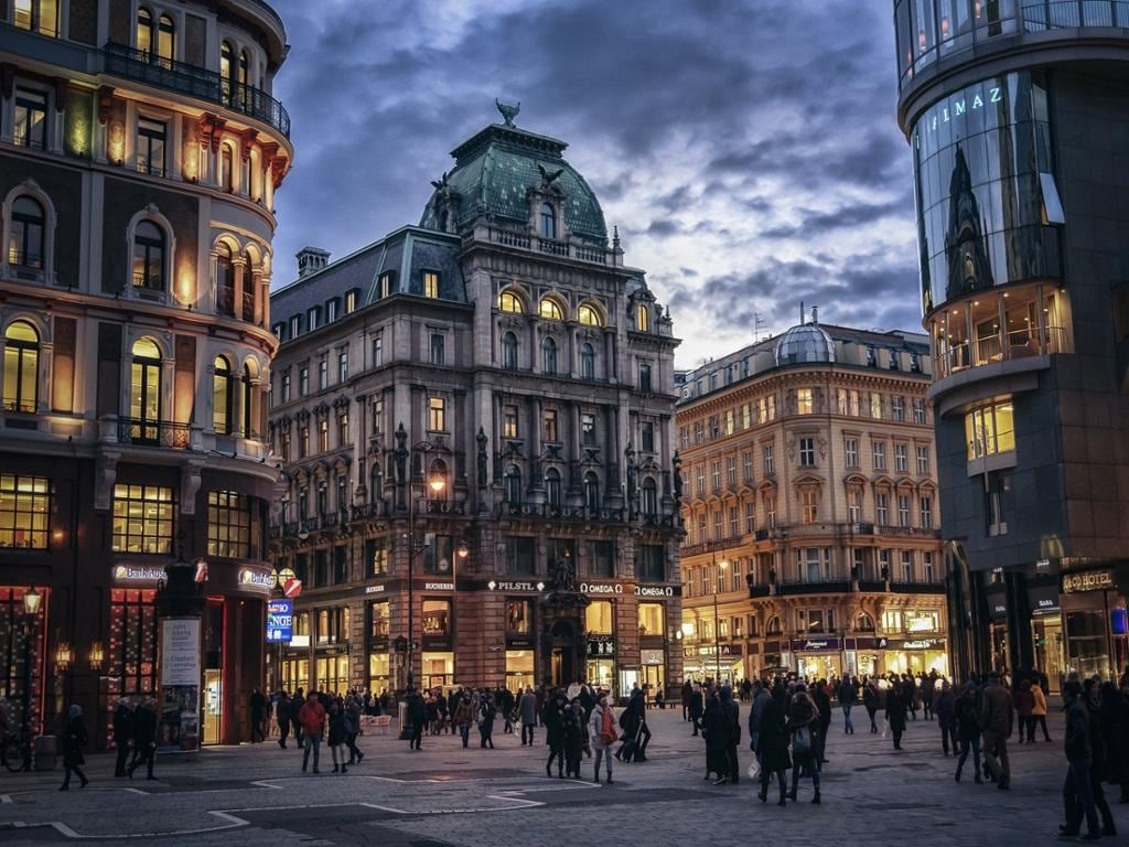 Vienna and the State Opera Visit Private Walking Tour