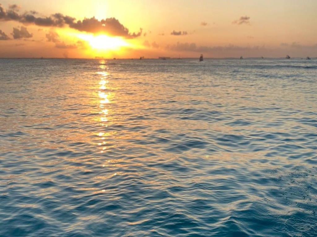 Catamaran Cruise - Sunrise Tour