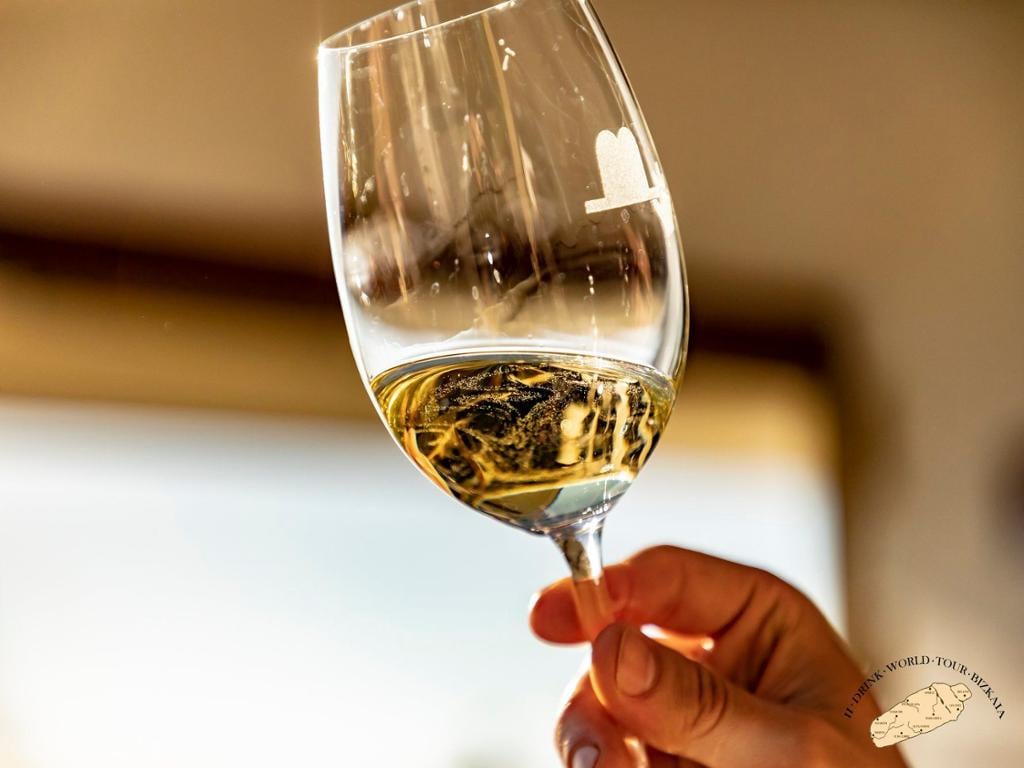Txacoli Wine Tour with Txakoli Museum and Wine Tasting