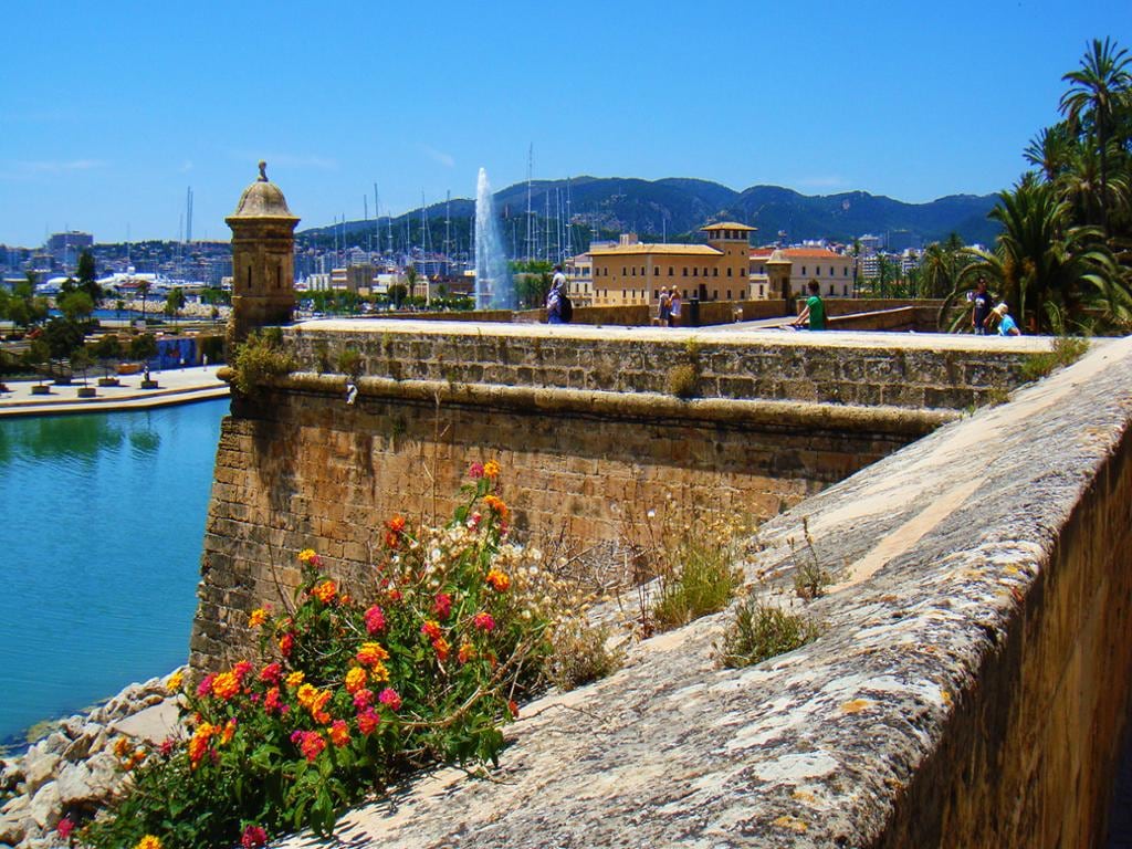 PalmaBus Tour - Departing from the North Area