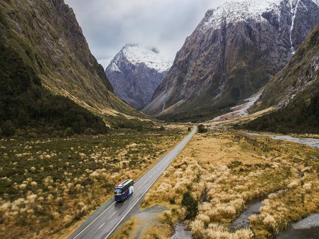Discover Milford Sound with Lunch - Full-Day Tour
