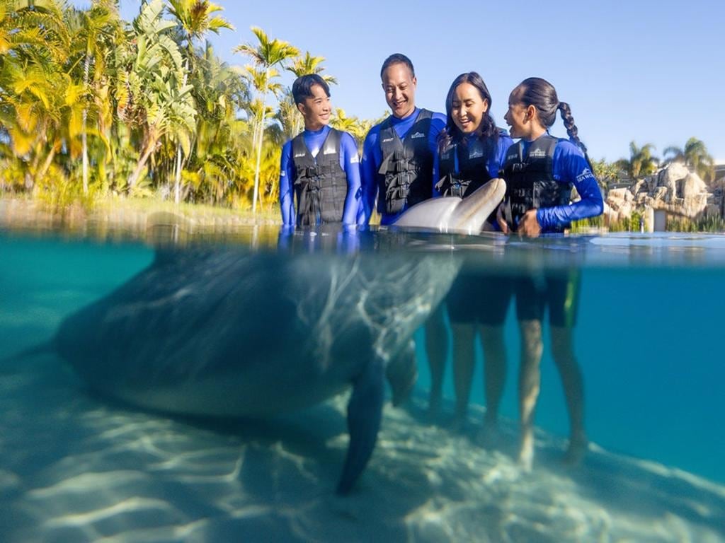 Village roadshow Sea World One Day Entry