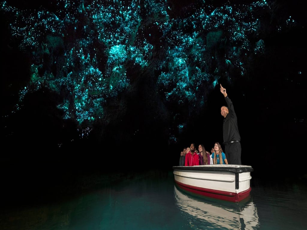 Explore Waitomo and Hobbiton - Full-Day Tour