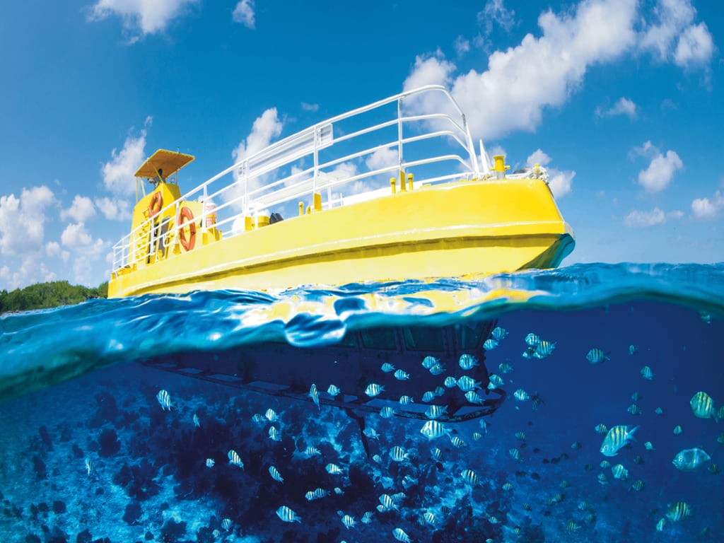 Paradise Subsee Explorer Tour