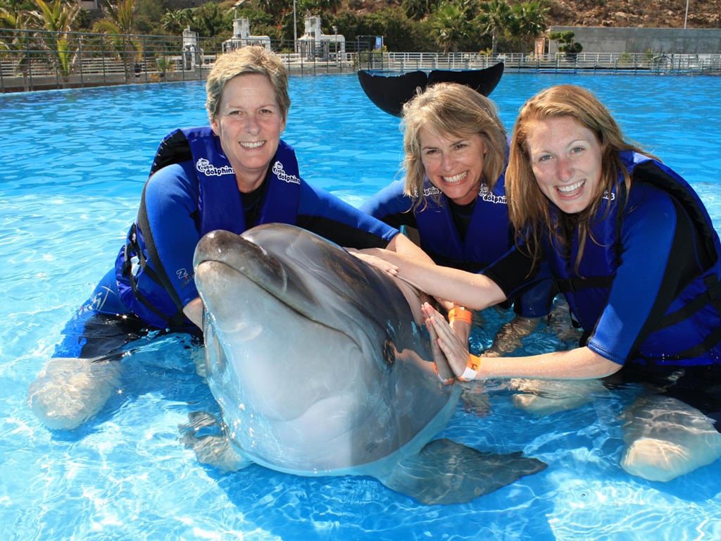 Negril sunset and Dolphin Cove Encounter