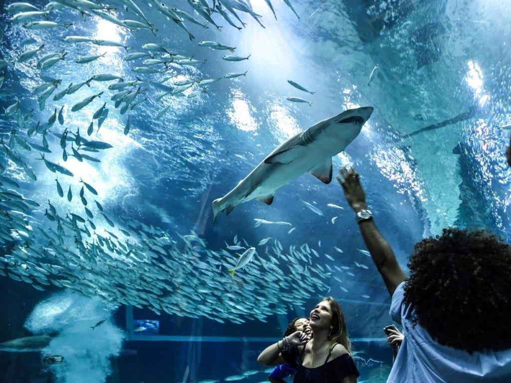 AquaRio Tickets - With Transfer