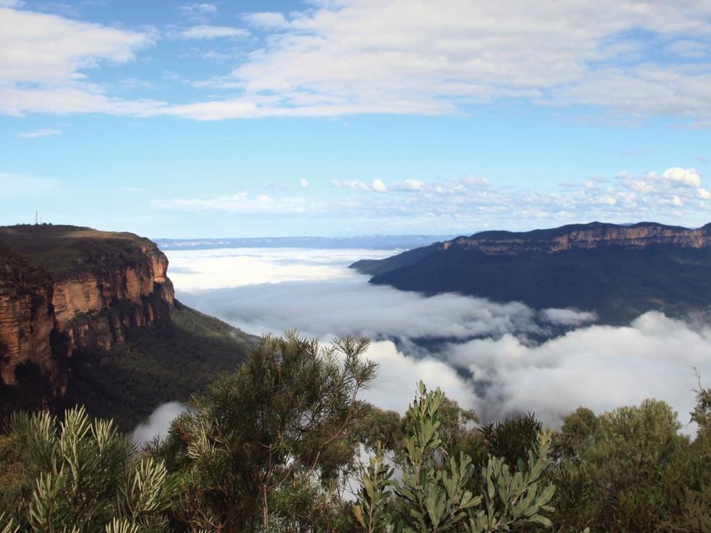 Blue Mountains National Park and Featherdale Wildlife Park – Full-Day Tour
