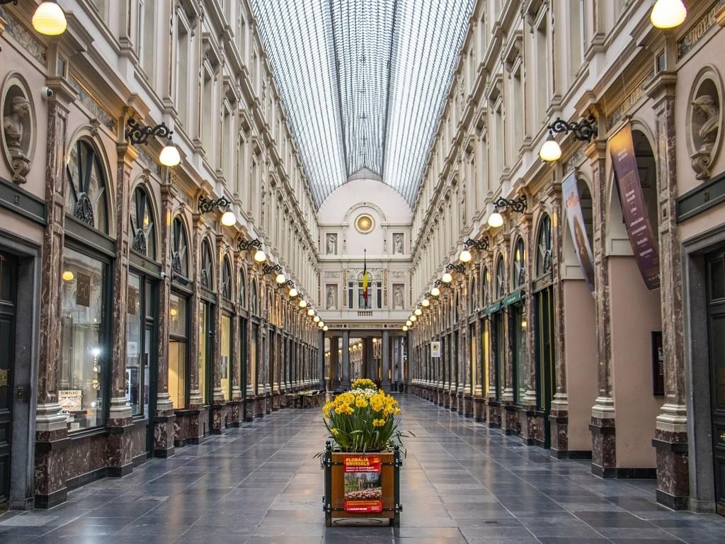 Discover Brussels in 60 minutes with a Local - Small-Group Walking Tour