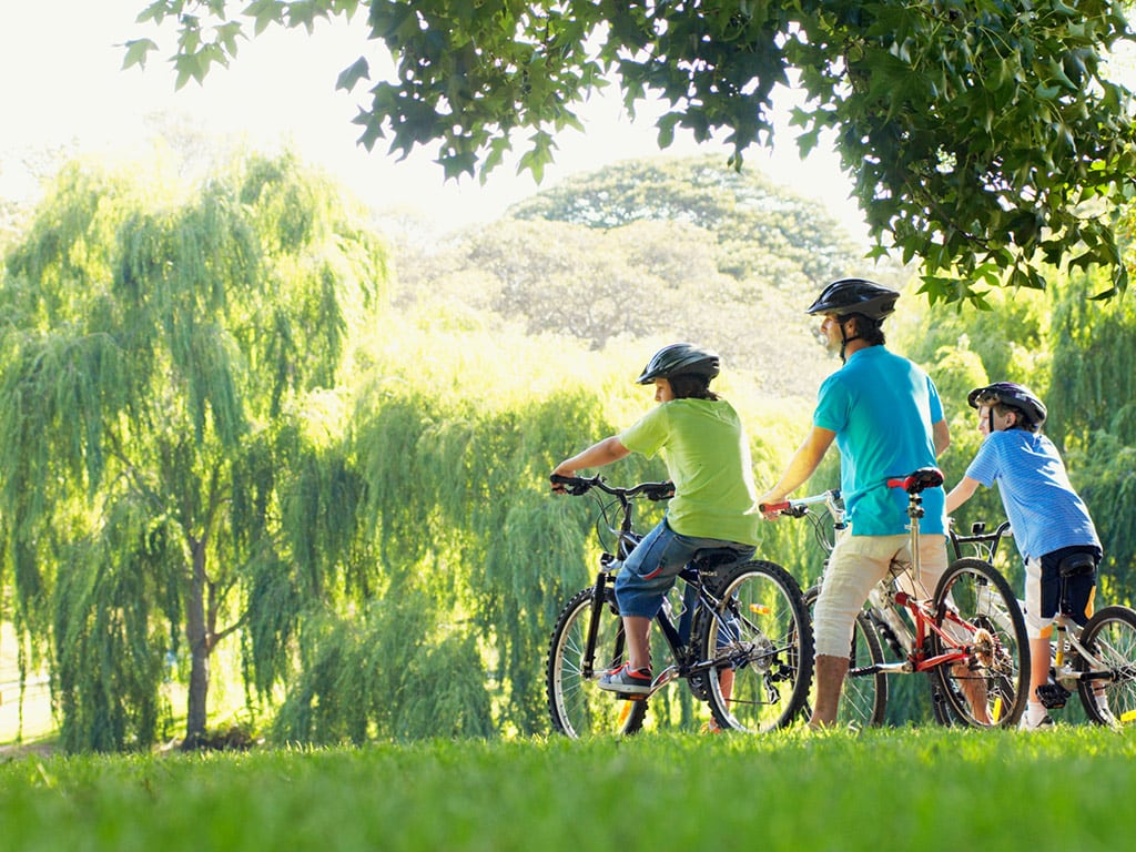 Central Park Bike Rental