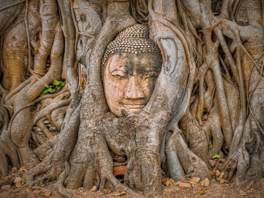 Discover Ayutthaya: Bang Pa-In Summer Palace and Market Visit - Private Tour