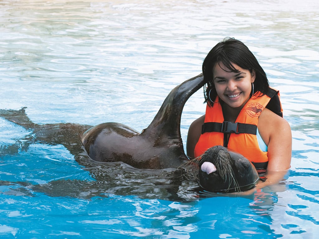 Sea Lion Encounter at Aquaventuras Park