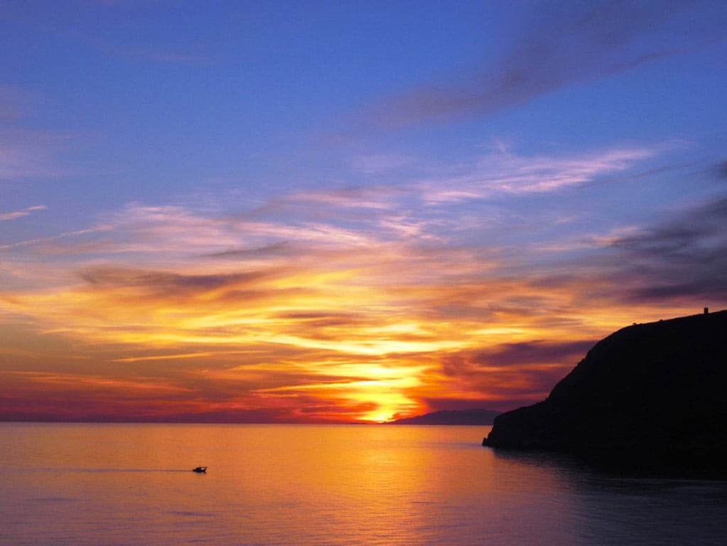 Sunset and Dolphins