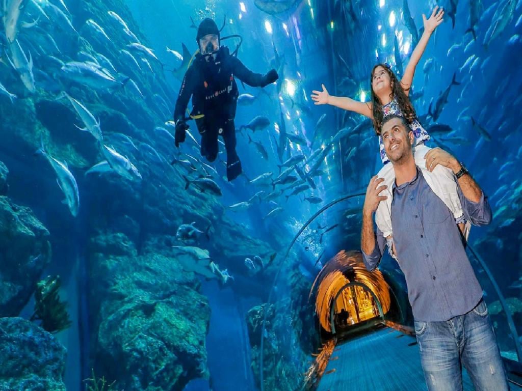 Dubai Mall Aquarium and Penguin Cove – Ticket with Sharing Transfers