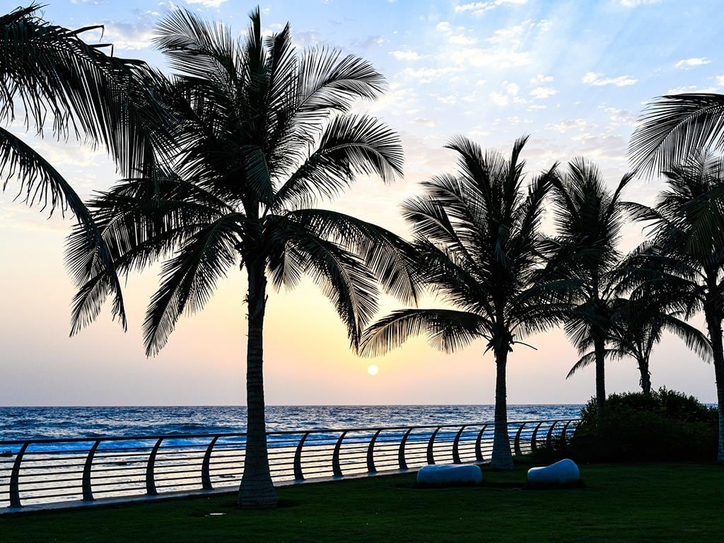 Discover Traditional City of Jeddah - Half-Day Tour
