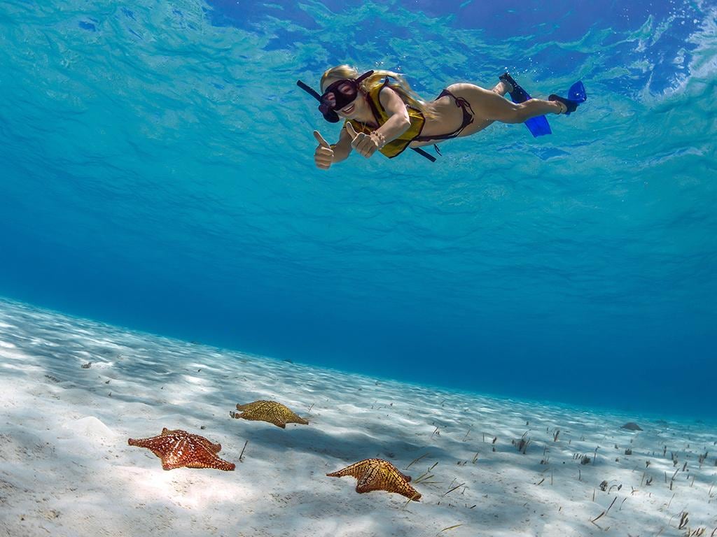 Cozumel Snorkeling and Sailing - Full-Day Tour